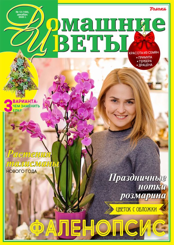 Обложка журналаДомашние цветы — Русская пресса. Подписка на русские журналы и газеты. Доставка во все страны.