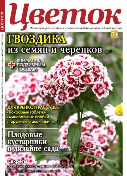 Цветок Журнал Подписка Русские журналы Купить Русские газеты