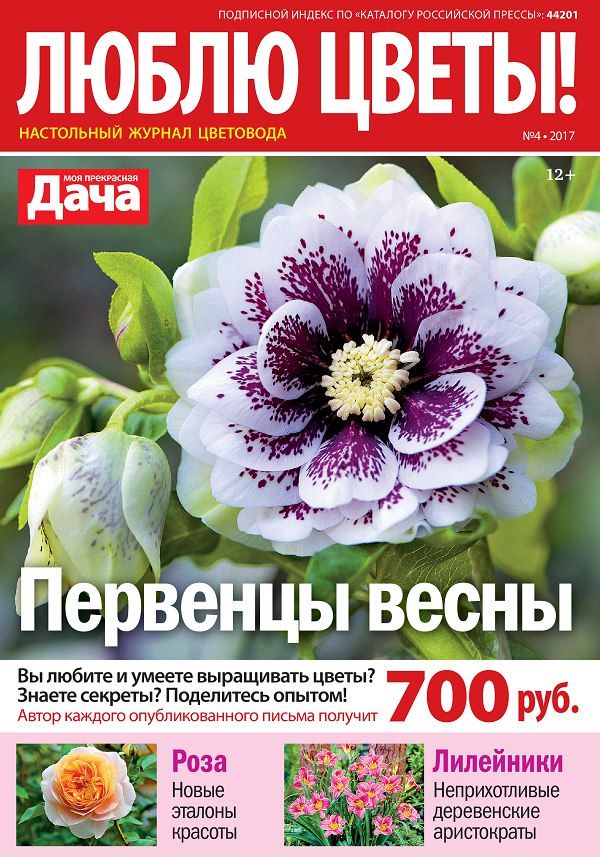 Обложка журналаЛюблю цветы. Подписка на журнал  Доставка во все страны — Русская пресса. Подписка на русские журналы и газеты. Доставка во все страны.
