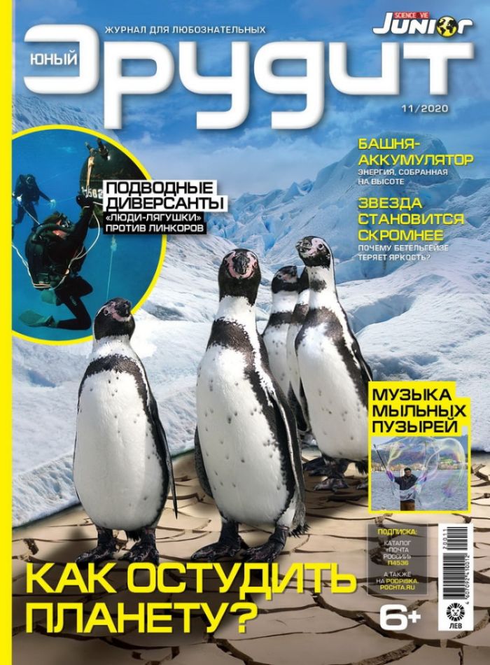 Юный эрудит Журнал Подписка, Русские журналы Купить Русские газеты