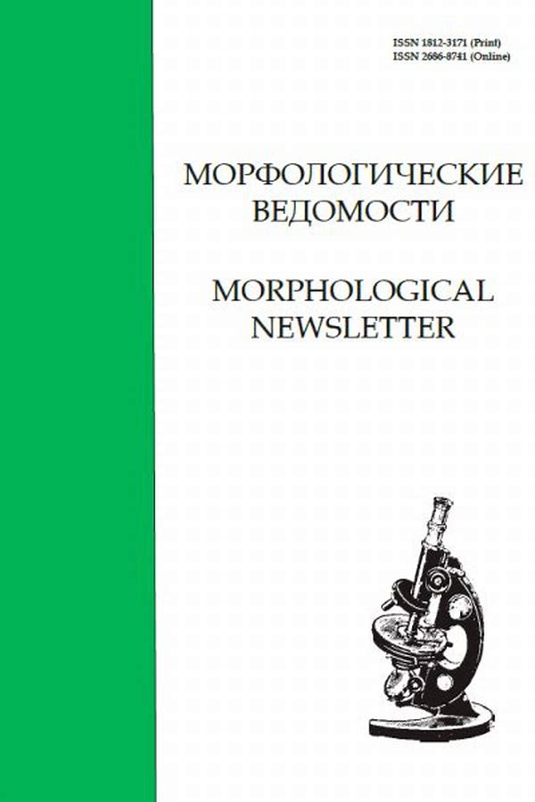 Обложка журналаМорфологические ведомости — Русская пресса. Подписка на русские журналы и газеты. Доставка во все страны.