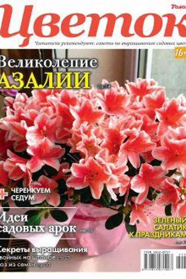 Обложка журналаЦветок Подписка на журнал Доставка во все страны — Русская пресса. Подписка на русские журналы и газеты. Доставка во все страны.