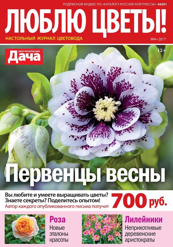 Люблю цветы Журнал Подписка Русские журналы Купить Русские газеты