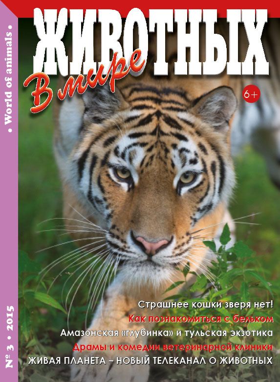 В мире животных Журнал Подписка Русские журналы Купить Русские газеты